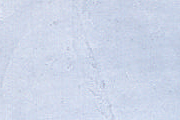 Grigio Nuvola Grigio Nuvola