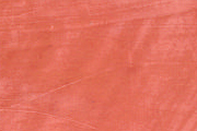 Rosa Antico Rosa Antico